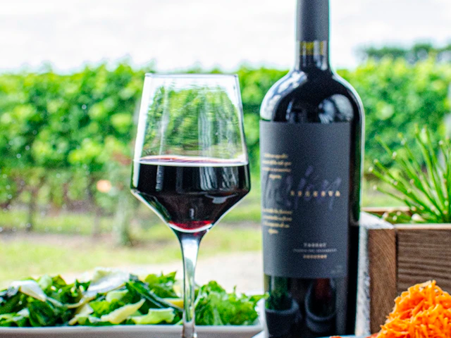 Mendoza Rutas del Vino
