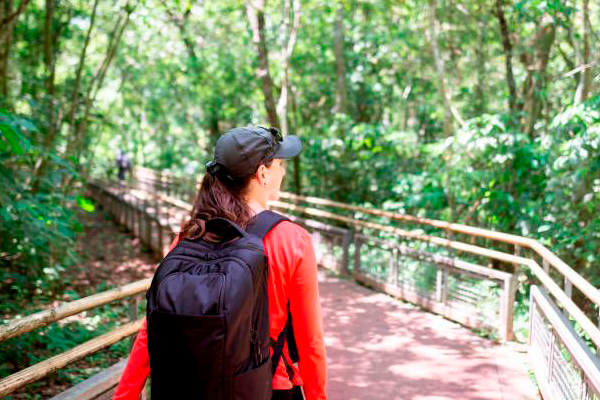 Iguazú Cataratas